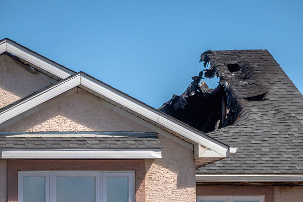 Top rated local Odor Removal specialists in Henderson, KY